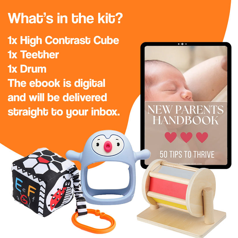 Multi-Sensory Developmental Toys Kit