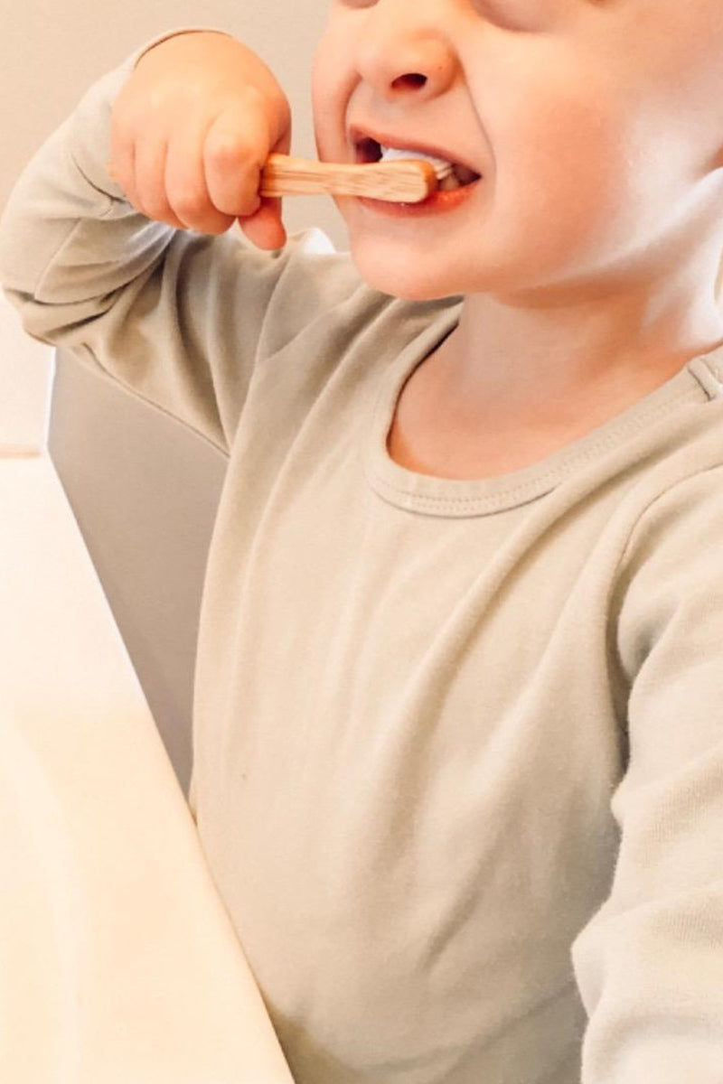 Bamboo Toothbrush 10-Piece Set