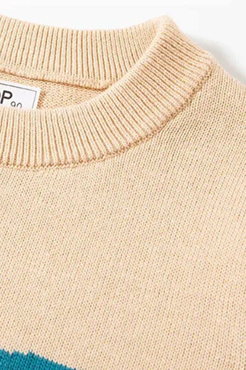 Cutesy Cotton Dino Sweater