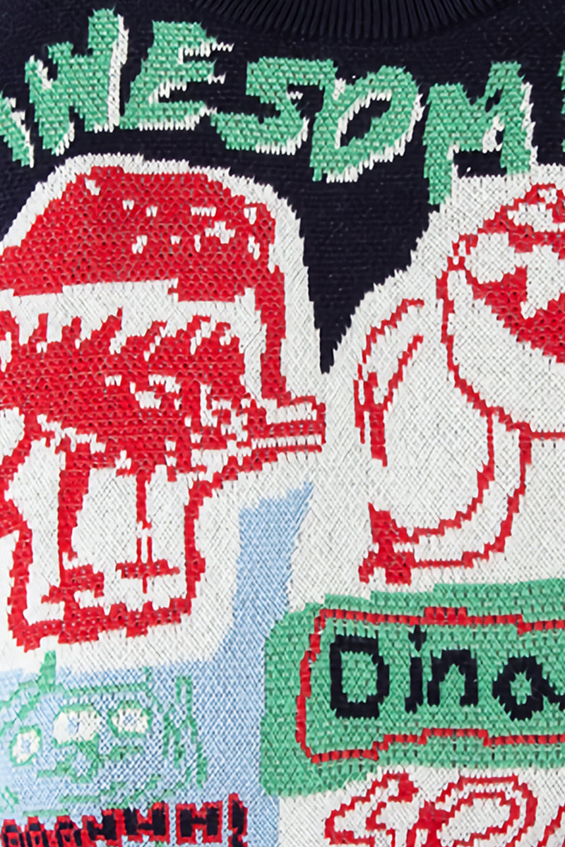 Cutesy Cotton Dino Sweater
